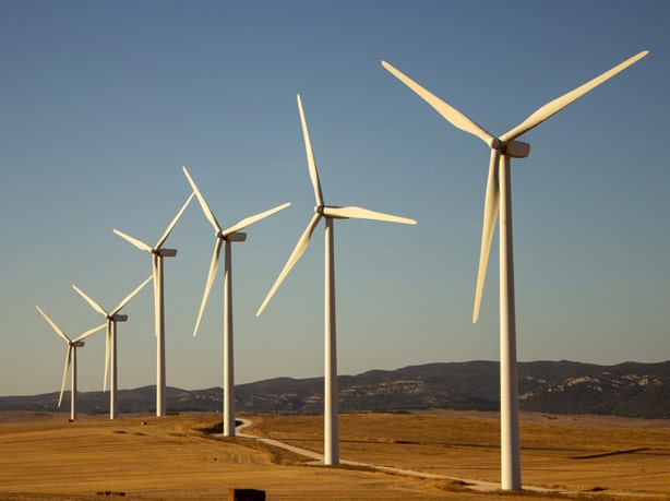 Wind Sector Industry
